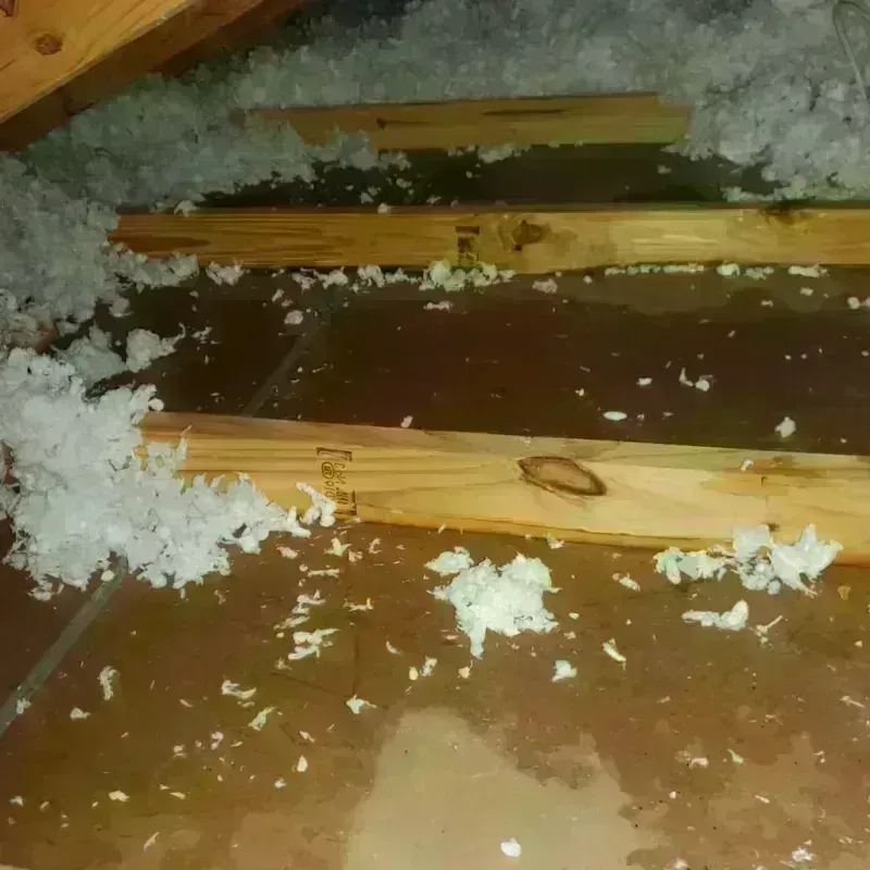 Attic Water Damage in Garden City, KS