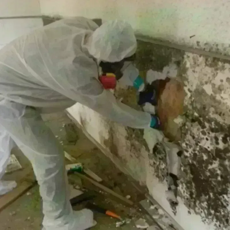 Mold Remediation and Removal in Garden City, KS