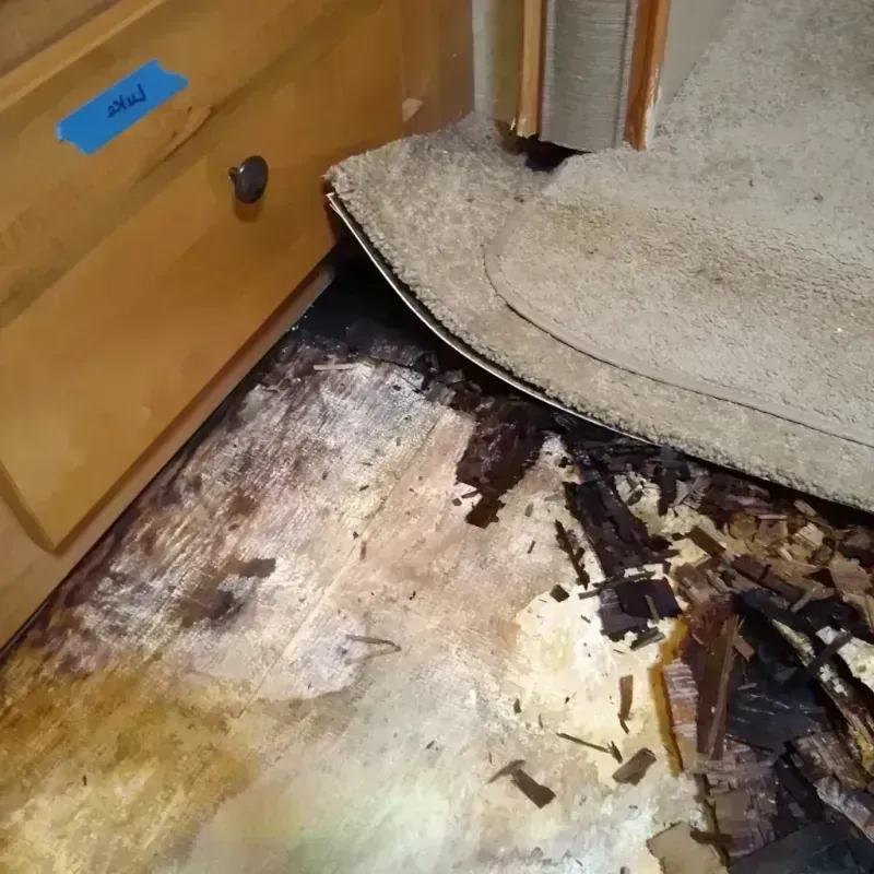 Wood Floor Water Damage in Garden City, KS